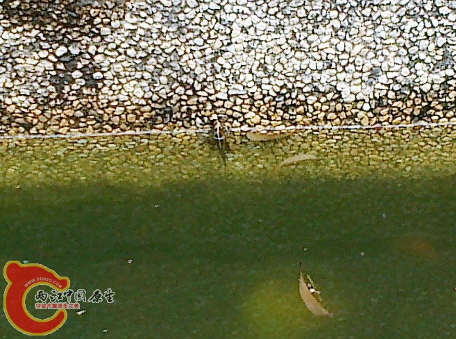 20120629164.jpg
