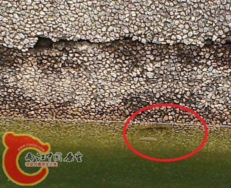 20120629165.jpg