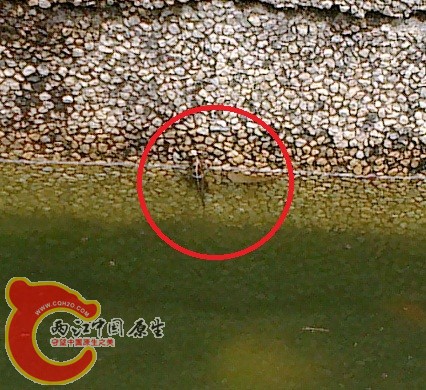20120629166.jpg