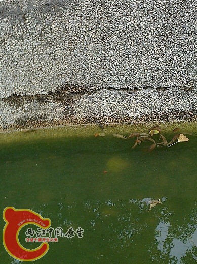 20120629167.jpg