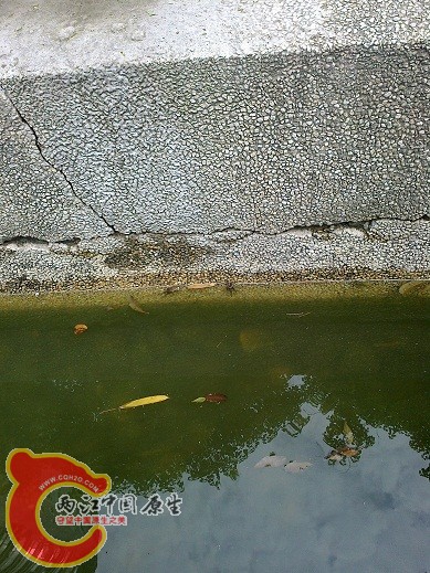 20120629170.jpg