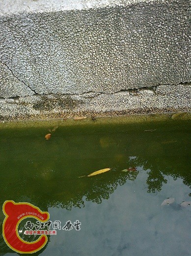 201206291691.jpg