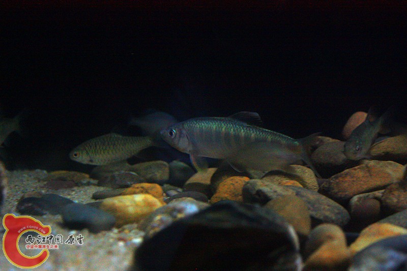 IMG_6254_副本.jpg