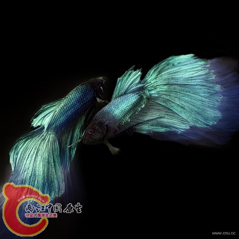 082434ymywmh5kcaatma09_调整大小.jpg