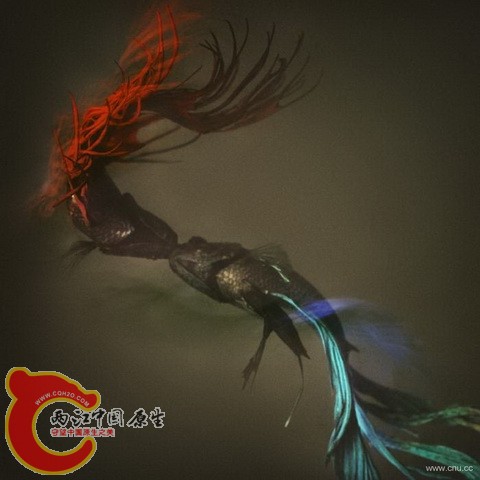 082430nhhn41zm9xn11sbl_调整大小.jpg