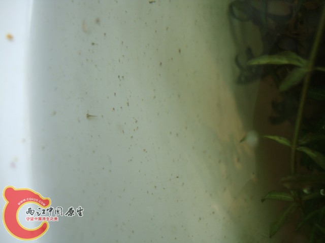 刚刚发现的时候