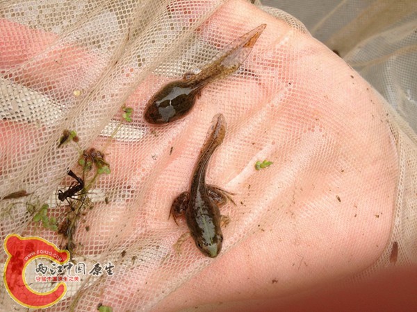 调整大小 IMG_0047.jpg