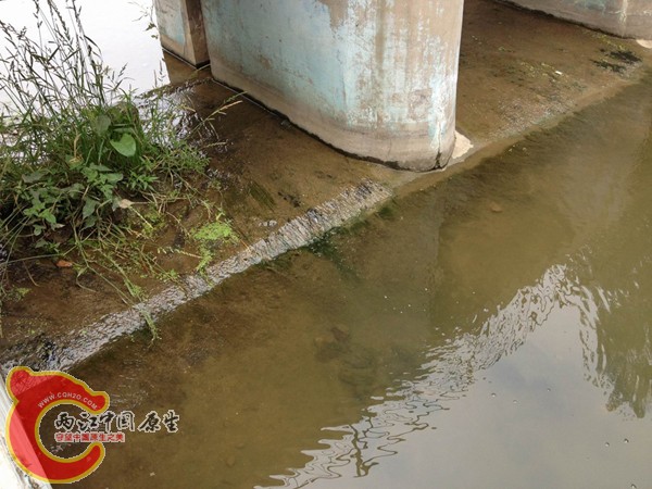 调整大小 IMG_0048.jpg