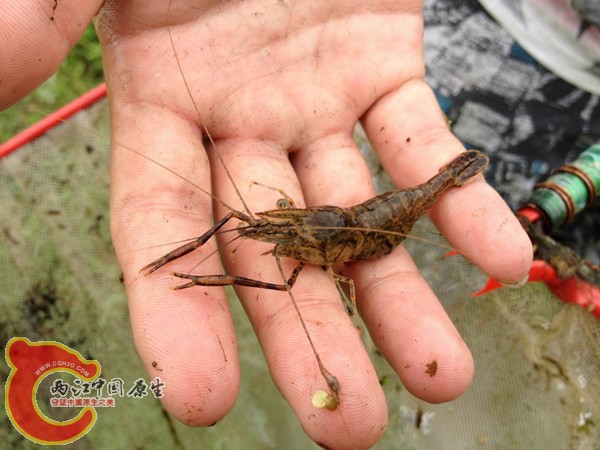 调整大小 IMG_0062.jpg