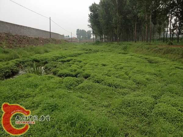 调整大小 IMG_0066.jpg