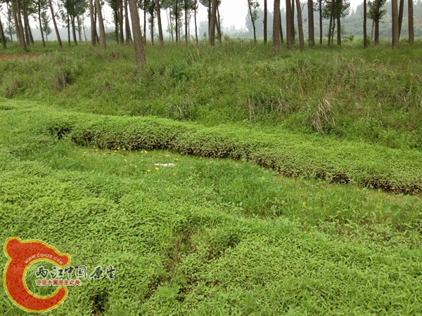 调整大小 IMG_0067.jpg