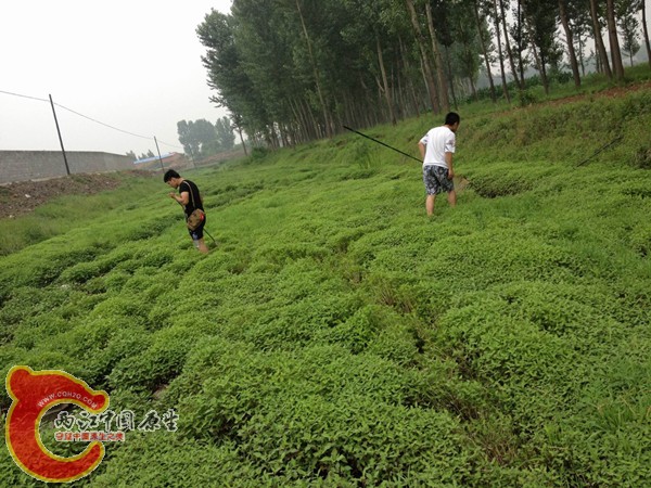 调整大小 IMG_0068.jpg