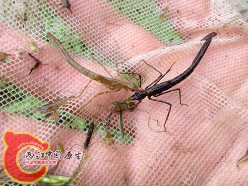 调整大小 IMG_0069.jpg