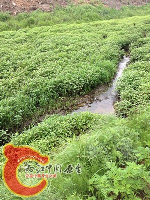 调整大小 IMG_0070.jpg