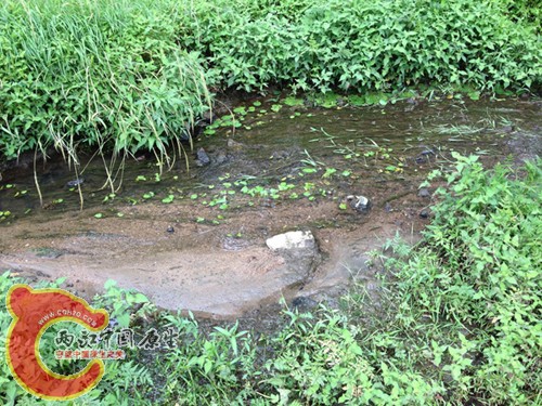 调整大小 IMG_0071.jpg