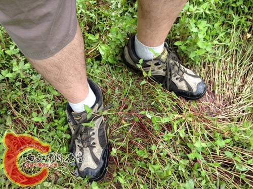 调整大小 IMG_0075.jpg