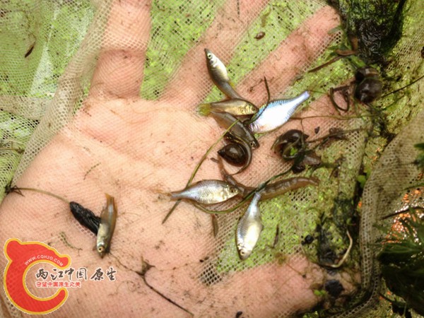 调整大小 IMG_0076.jpg