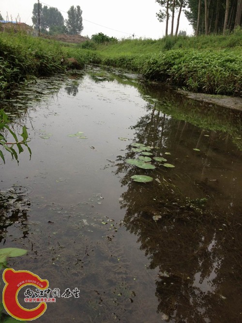 调整大小 IMG_0077.jpg