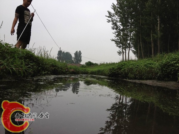 调整大小 IMG_0078.jpg