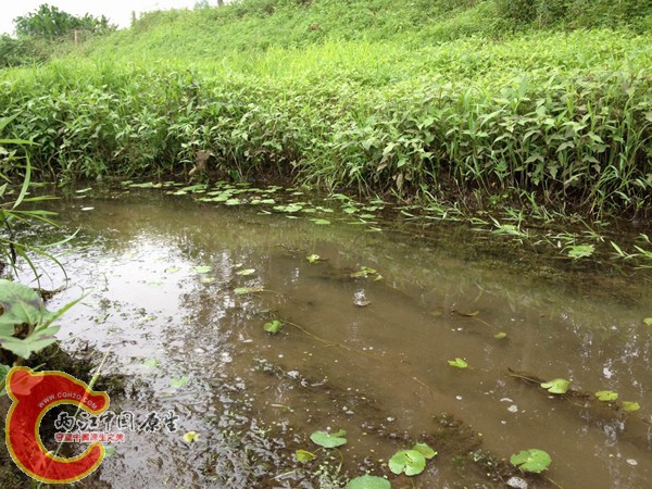 调整大小 IMG_0079.jpg