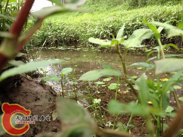 调整大小 IMG_0081.jpg