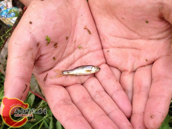 调整大小 IMG_0082.jpg