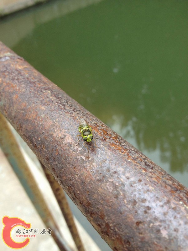 调整大小 IMG_0088.jpg