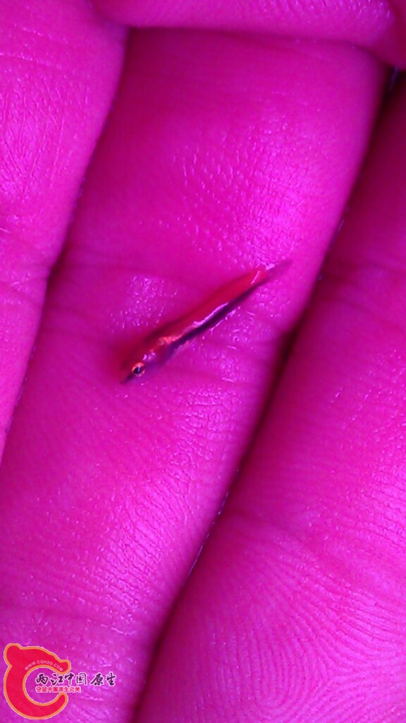 2012-07-01_19-46-57.png