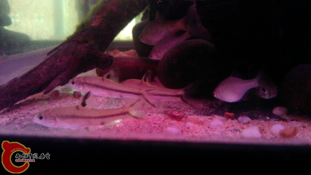IMAG0546.jpg