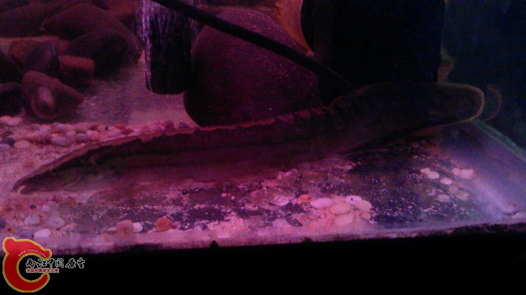 IMAG0648.jpg
