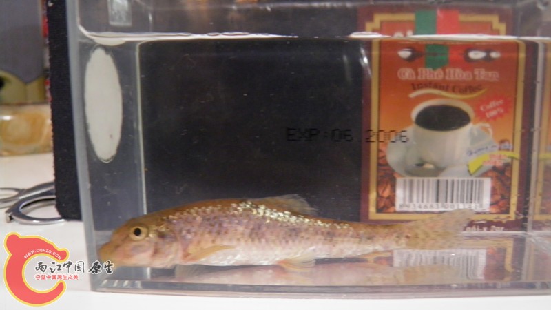 P7010737_副本.jpg
