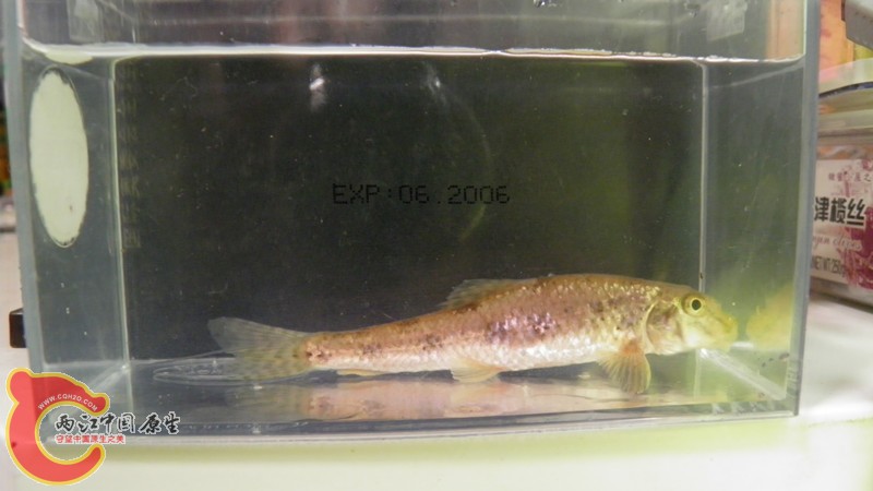 P7010738_副本.jpg