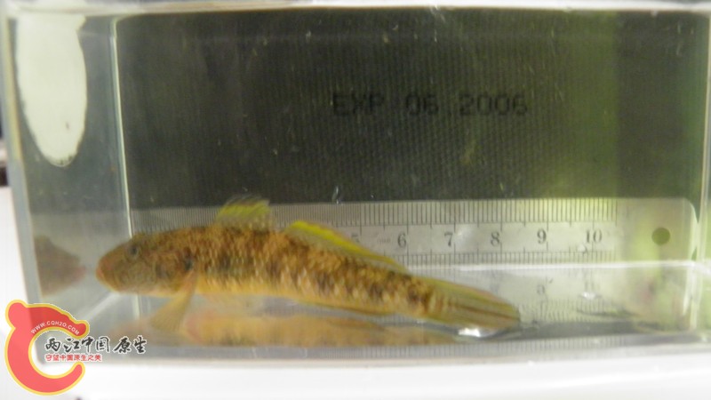 P7010741_副本.jpg