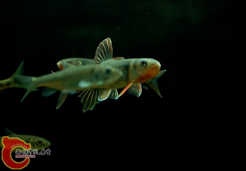 DSC_6151.jpg