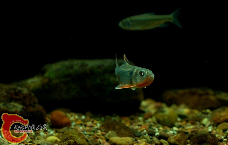 DSC_6229.jpg