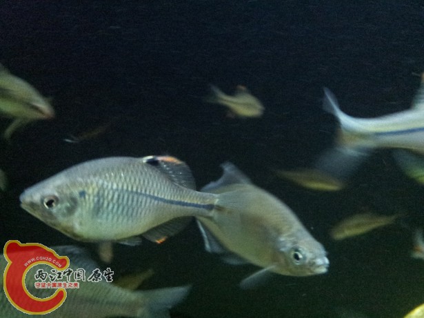 2012-07-03 19.51.59.jpg