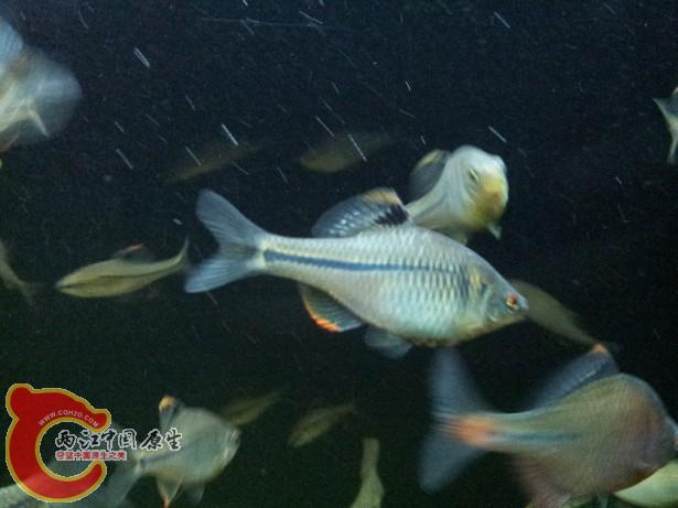 2012-07-03 20.01.39.jpg