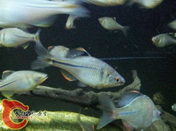 2012-07-03 20.03.31.jpg