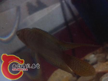 IMG_20120703_200438.jpg