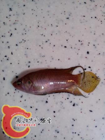 IMG_20120703_201301.jpg