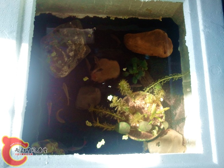 2012-07-04 07.55.04_副本.jpg