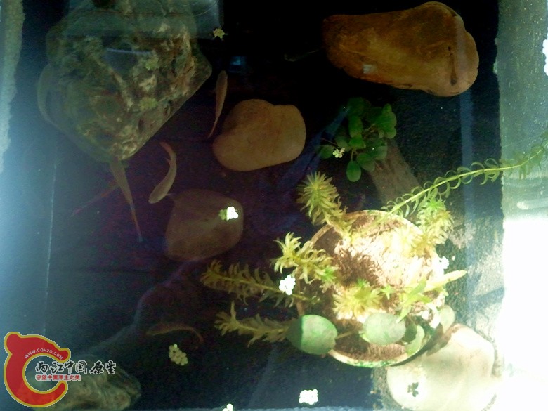 2012-07-04 07.54.56_副本.jpg