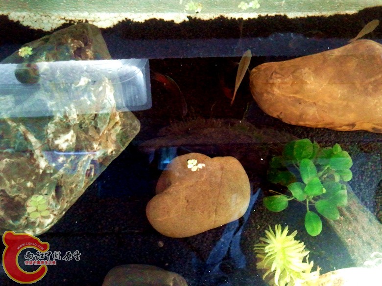 2012-07-04 07.55.34_副本.jpg