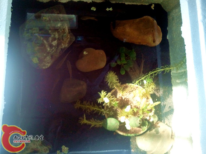 2012-07-04 07.55.45_副本.jpg