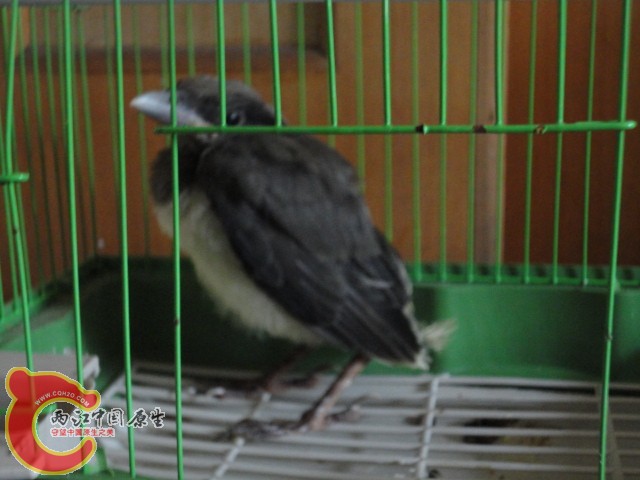 DSC02585.JPG
