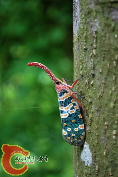 DSC_0878.JPG