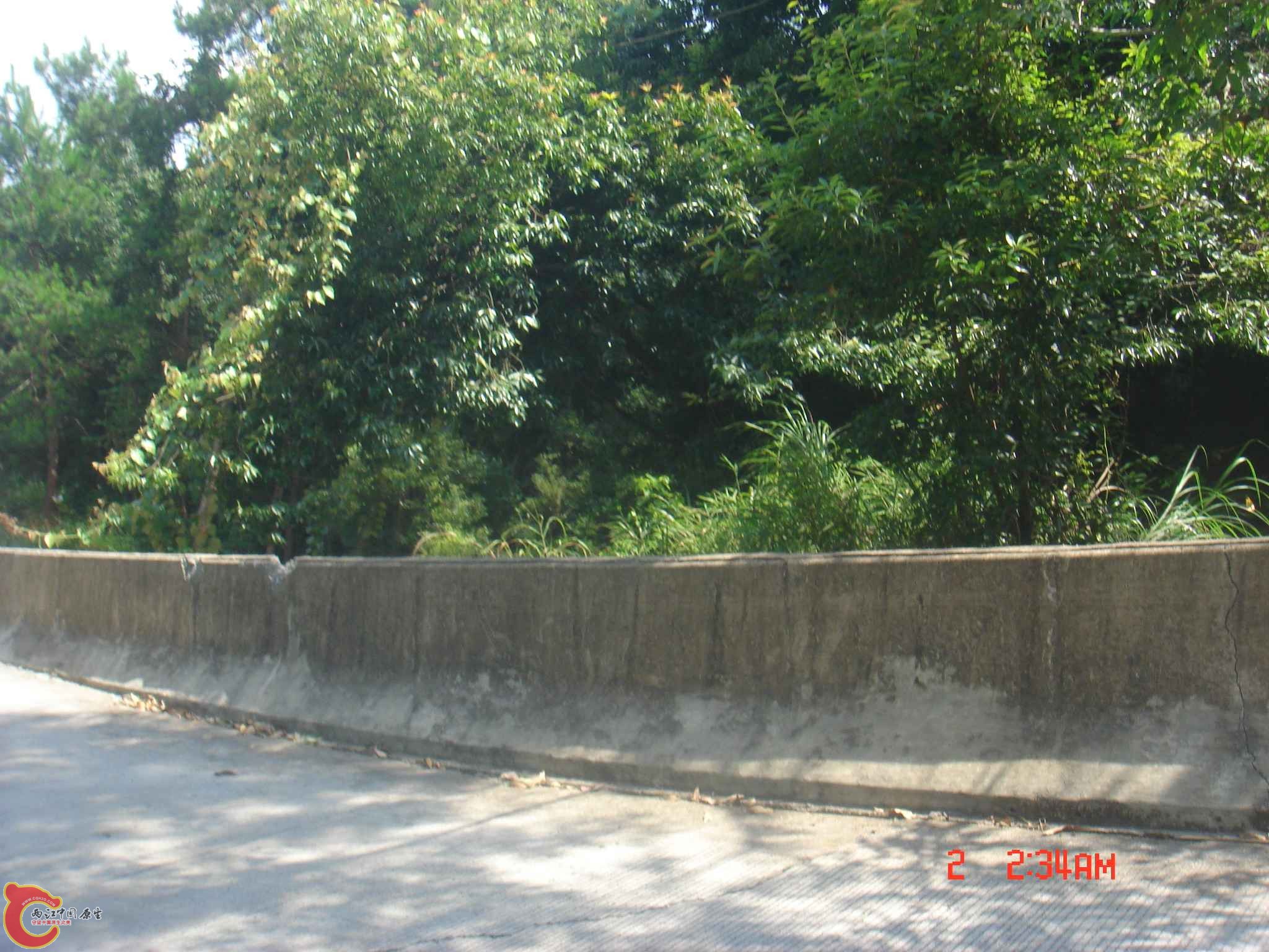 DSC06706.JPG