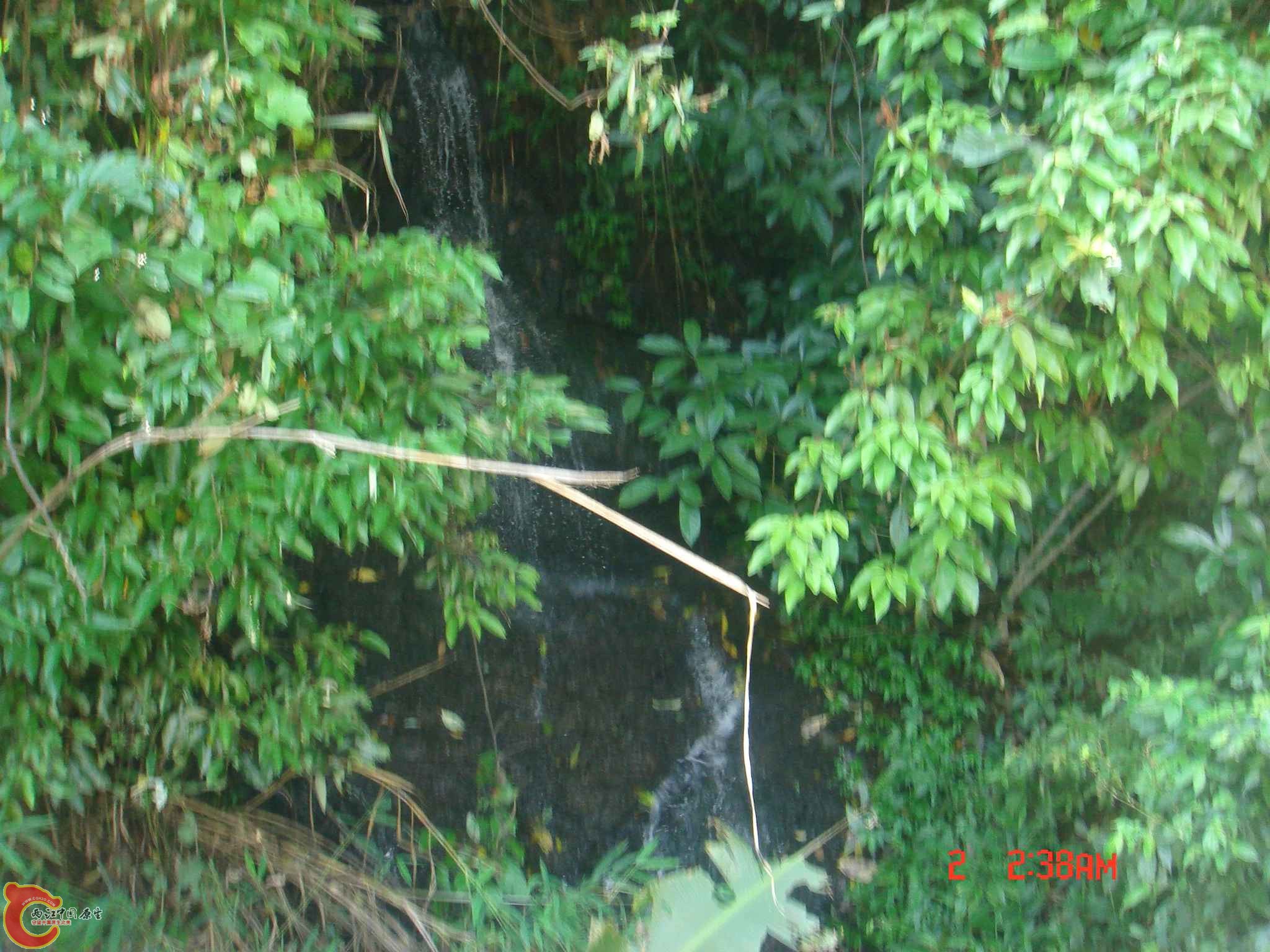 DSC06709.JPG