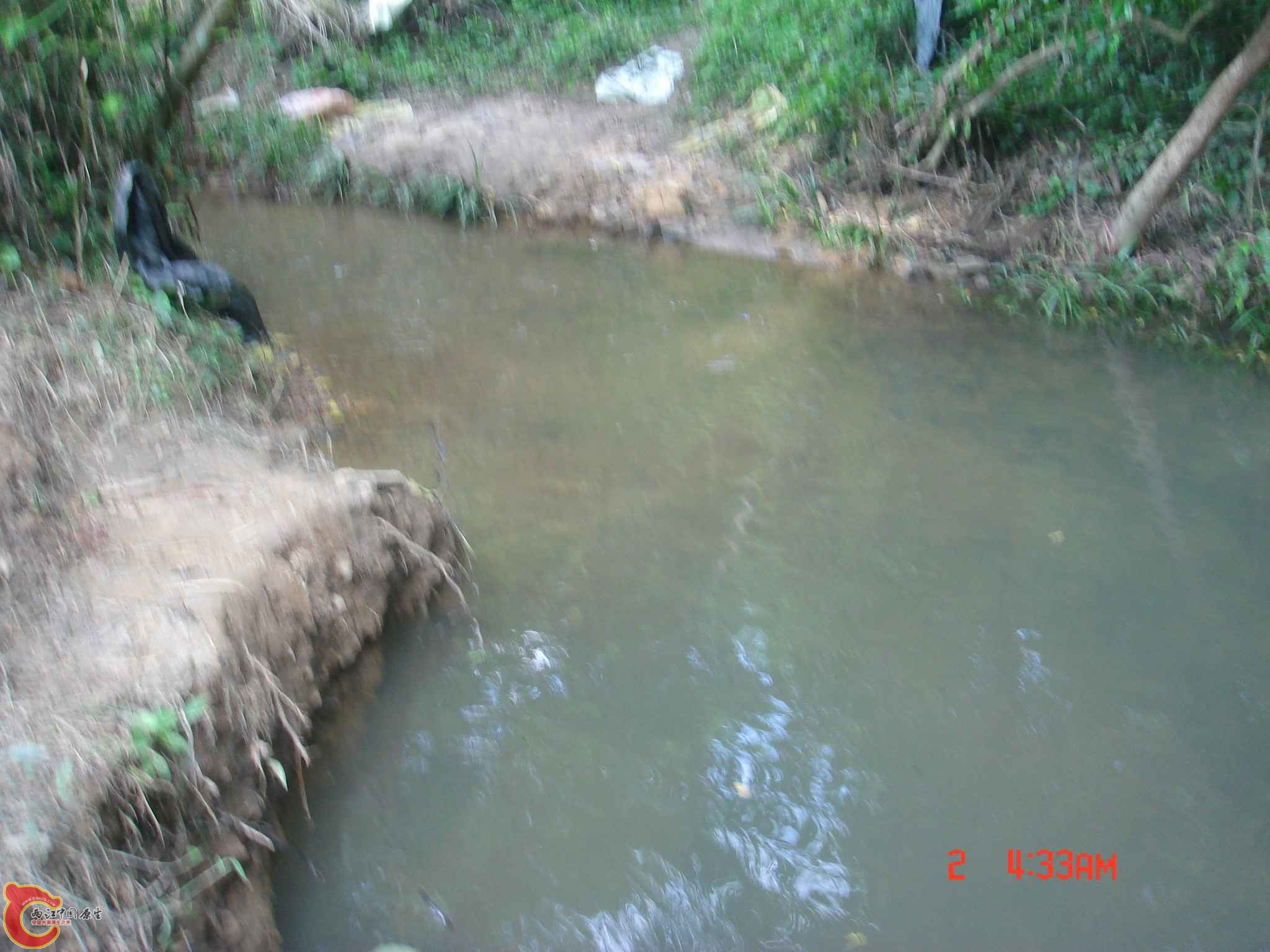 DSC06710.JPG