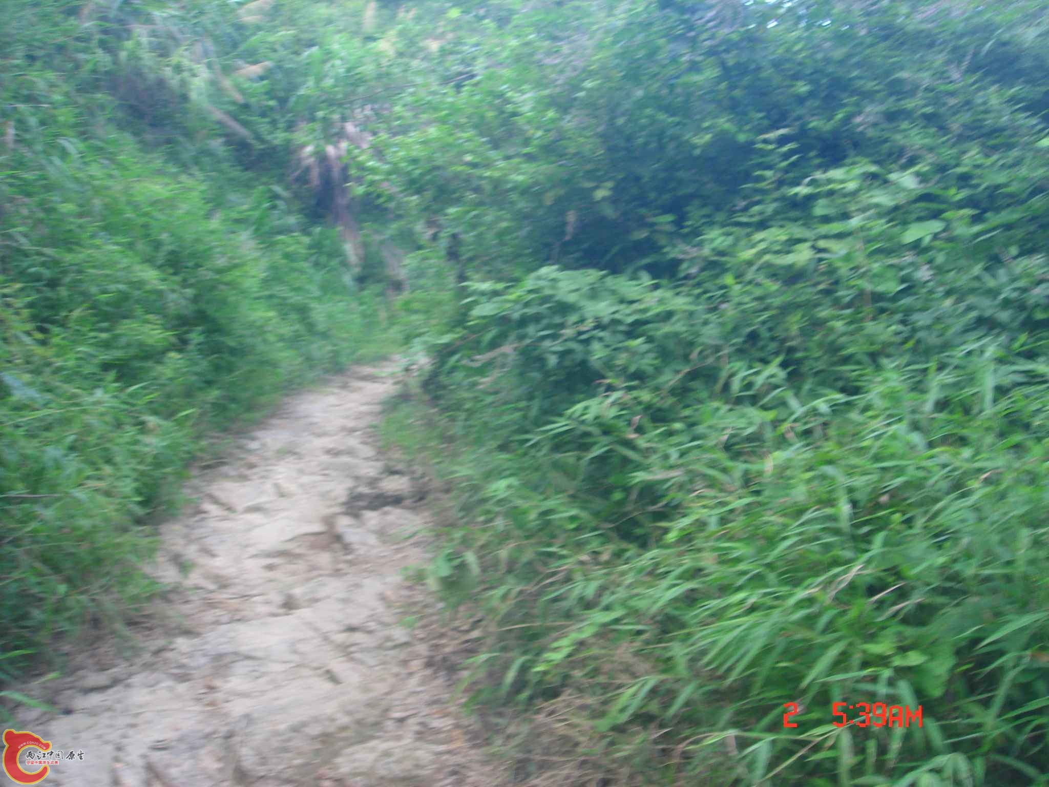 DSC06712.JPG